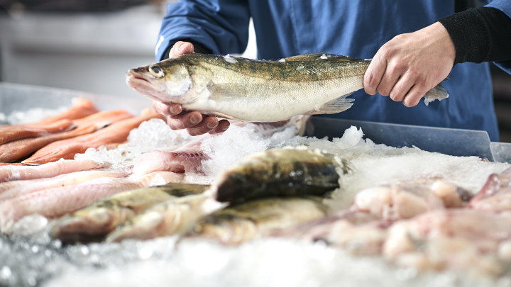 Catering fisk på is